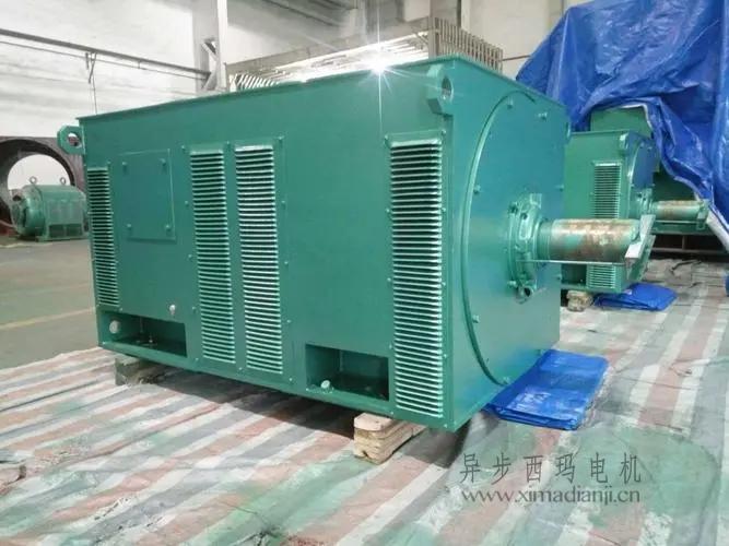 西瑪電機(jī)Y5603-10 560KW 10KV<a href=http://hfgcjx.com.cn/gysxybdj.html target='_blank'>高壓電機(jī)</a> 西瑪電機(jī)Y5603-10 560KW <a href=http://hfgcjx.com.cn/new/new-47-621.html target='_blank'><a href=http://hfgcjx.com.cn/new_tags_225.html target='_blank'>10kv高壓電機(jī)</a></a>